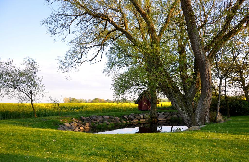 Bed and Breakfast Nils Holgerssongarden Skurup Экстерьер фото